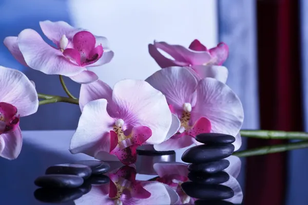 Relax Massage